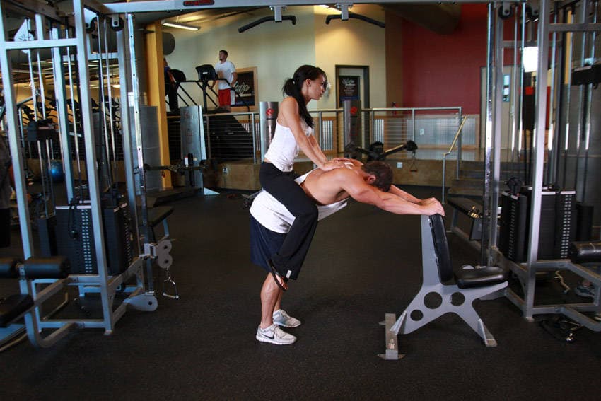 Donkey Calf Raises