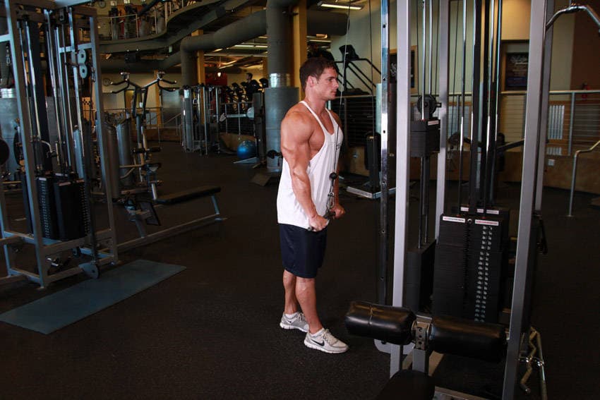 Triceps Pushdown step 2