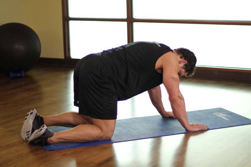 All Fours Quad Stretch