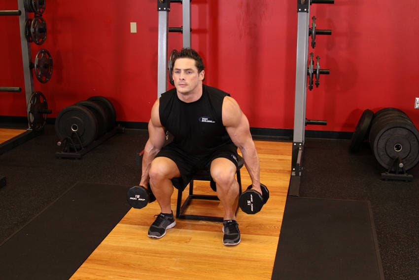 Dumbbell Squat To A Bench step 2