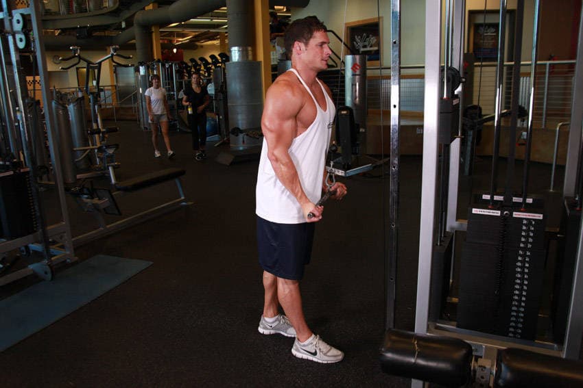 Reverse Grip Triceps Pushdown step 2
