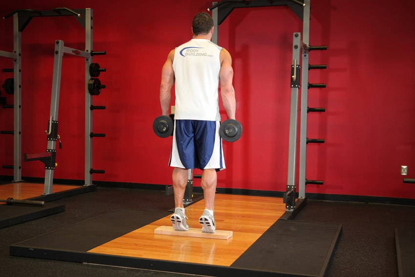 Standing Dumbbell Calf Raise step 2