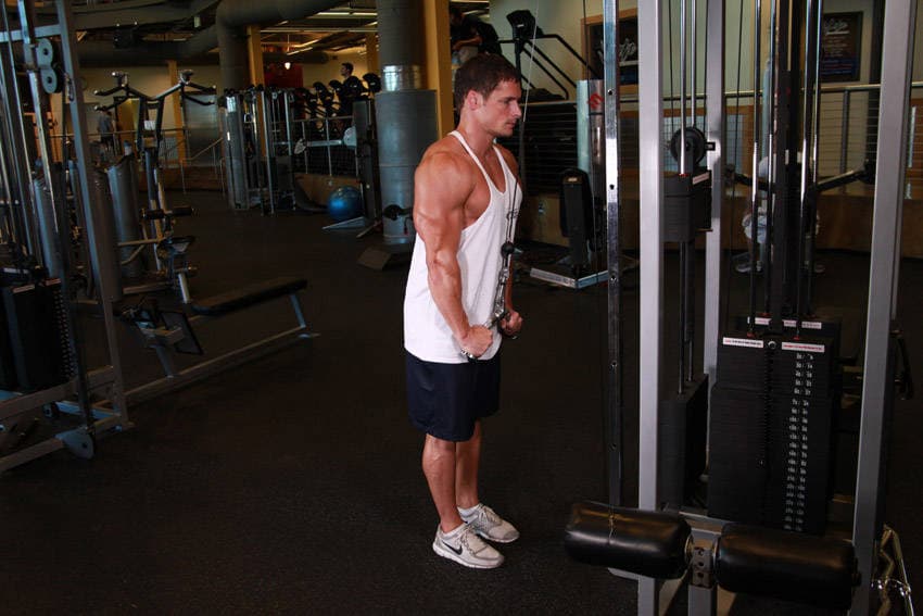 Triceps Pushdown - V-Bar Attachment step 2